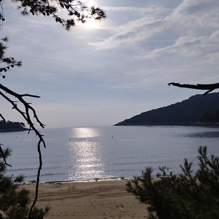 Apartments Feral Saplunara Εξωτερικό φωτογραφία