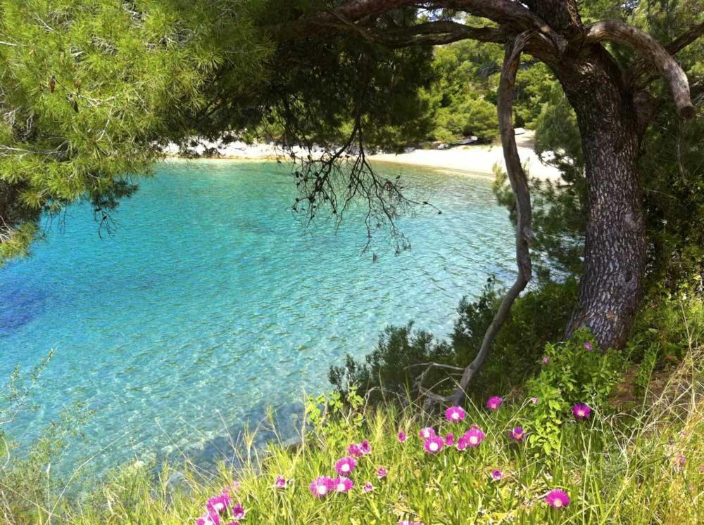 Apartments Feral Saplunara Εξωτερικό φωτογραφία