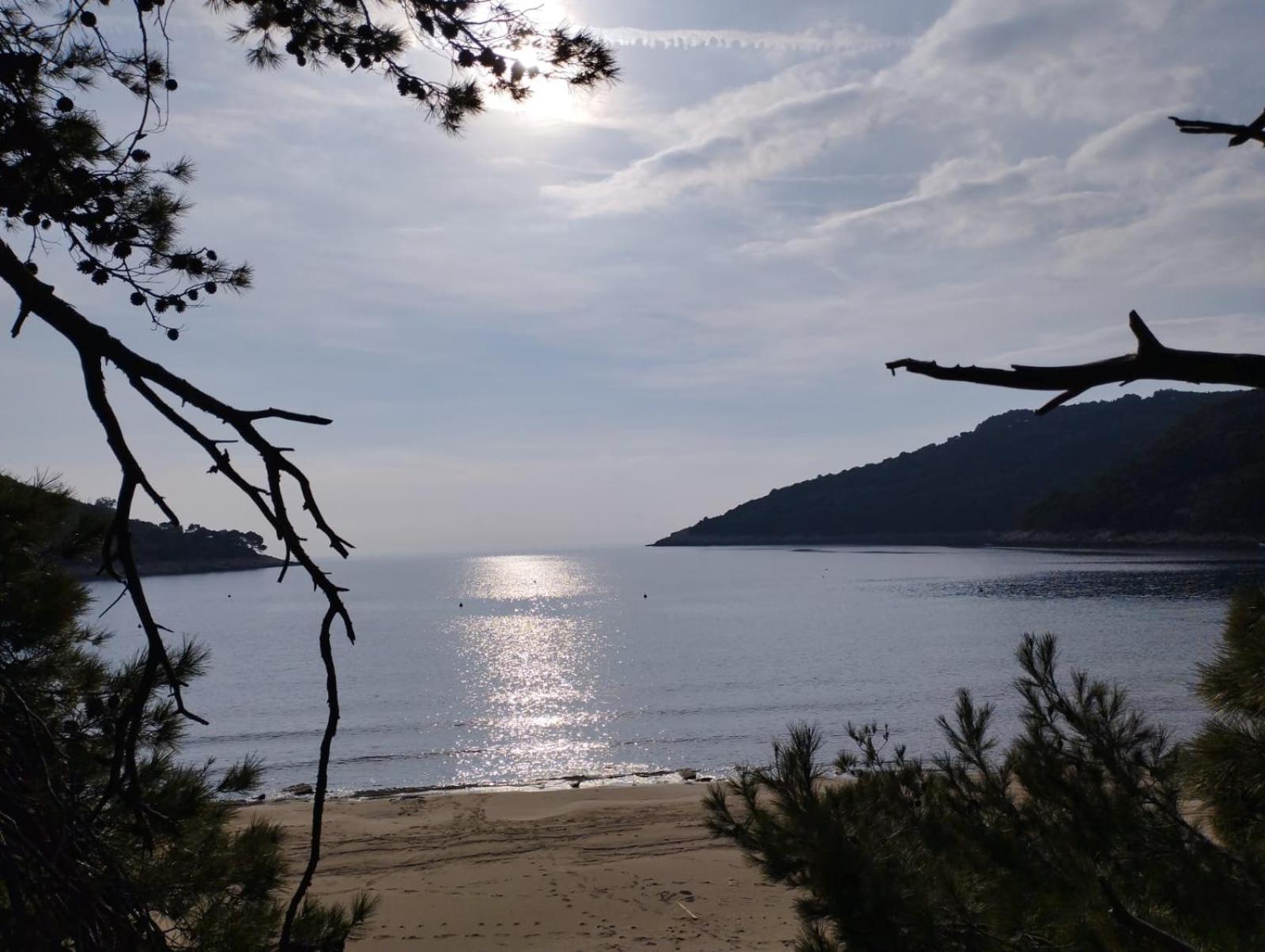 Apartments Feral Saplunara Εξωτερικό φωτογραφία
